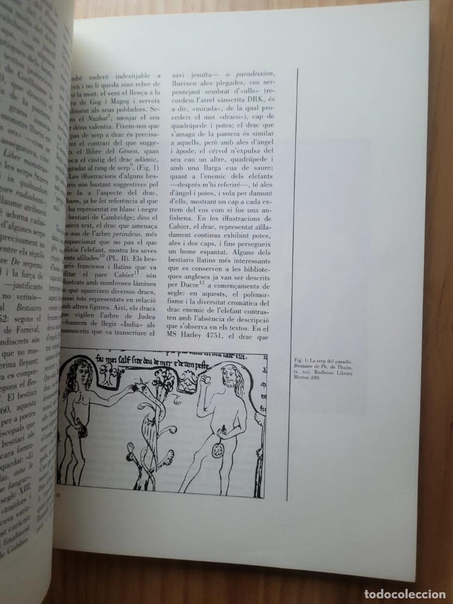 Arte: EL DRAC EN LA CULTURA MEDIEVAL - Foto 4
