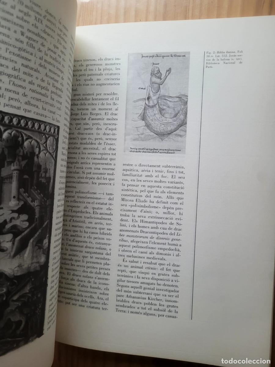 Arte: EL DRAC EN LA CULTURA MEDIEVAL - Foto 5