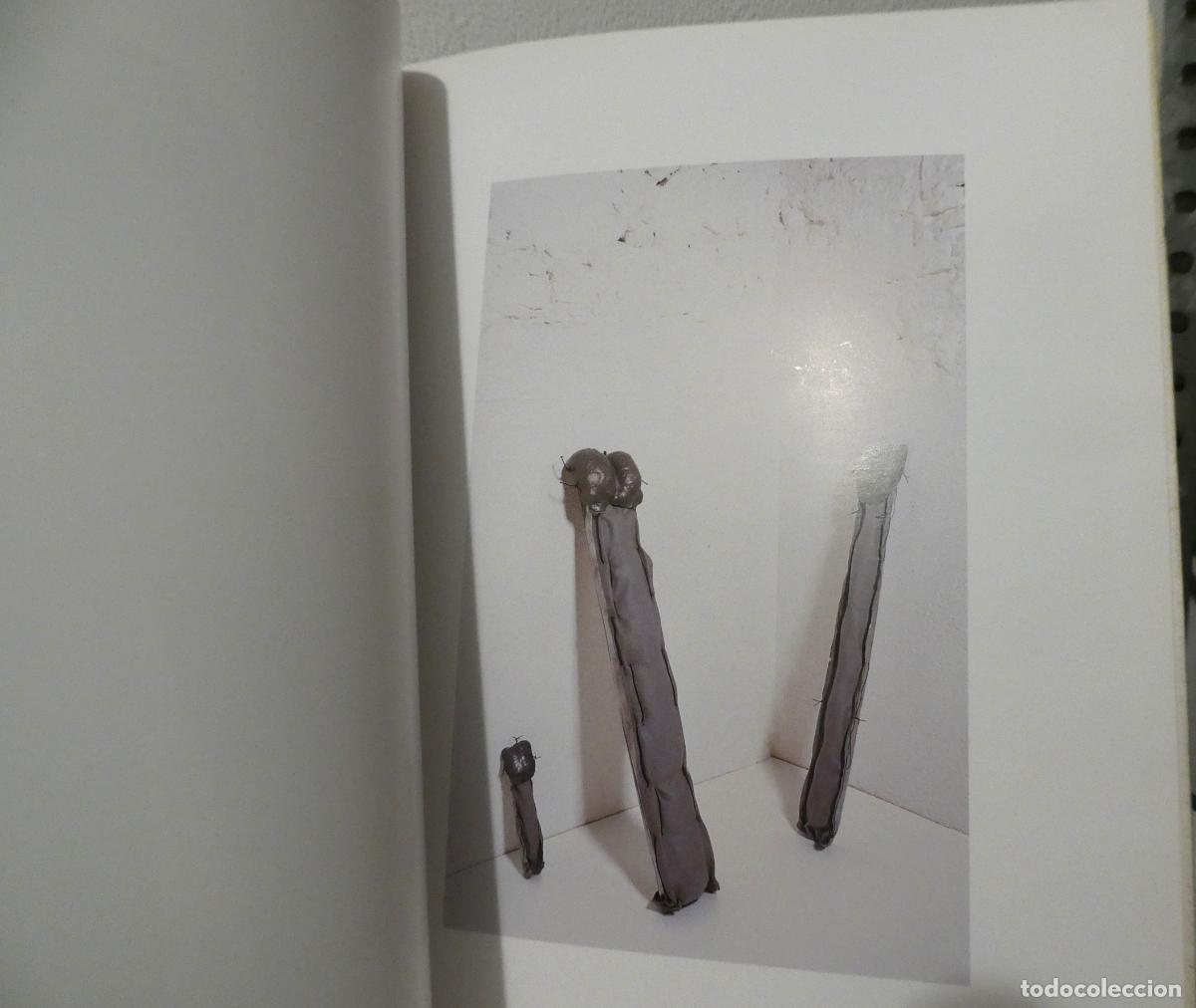 Arte: CAT&Aacute;LOGO DE LA EXPOSICI&Oacute;N DE DALMAU-G&Oacute;RRIZ - Foto 4