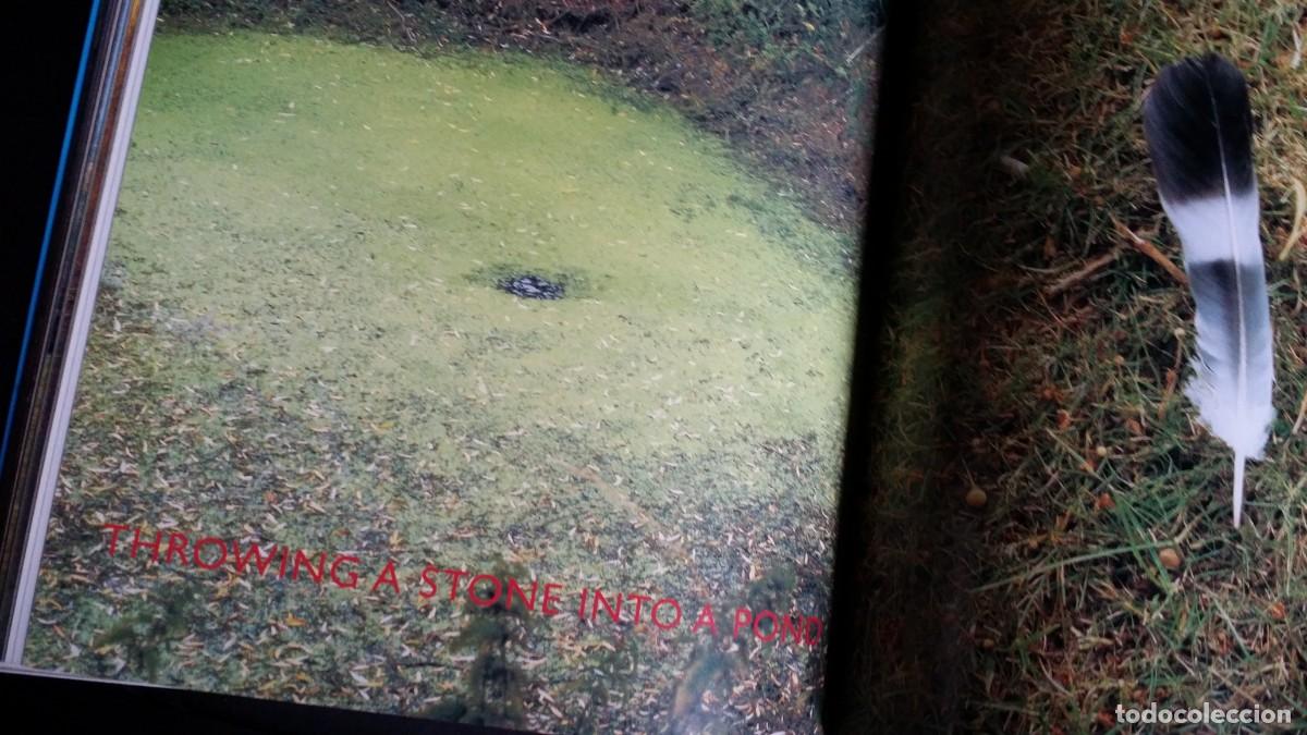 Arte: RICHARD LONG: A Walk Across England - Foto 8