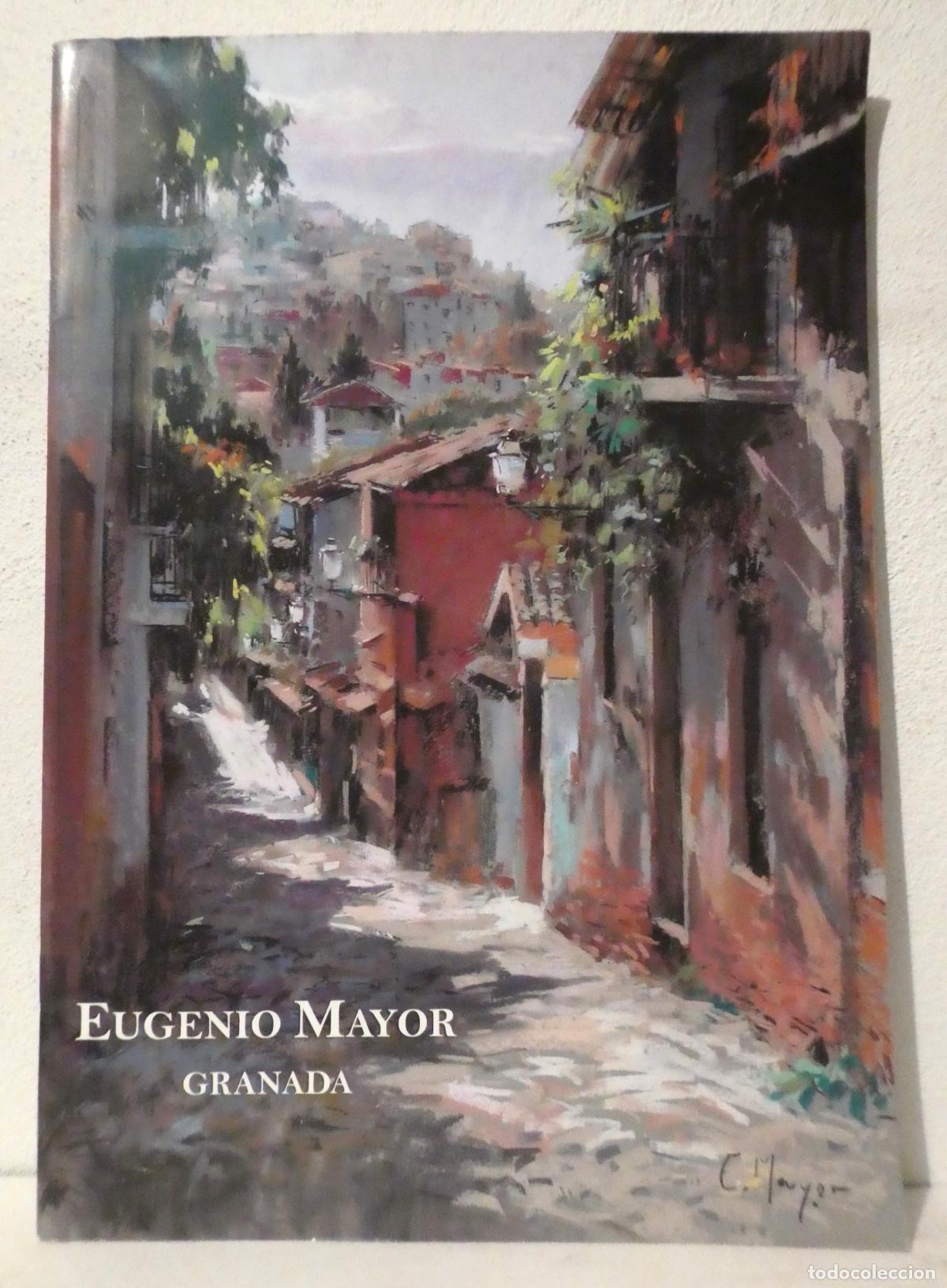 Arte: Cat&aacute;logo de la Exposici&oacute;n del Pintor Eugenio Mayor en Granada 2006 - Foto 1