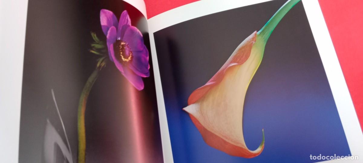 Arte: ROBERT MAPPLETHORPE - FLOWERS - CHRISTIES - Foto 4