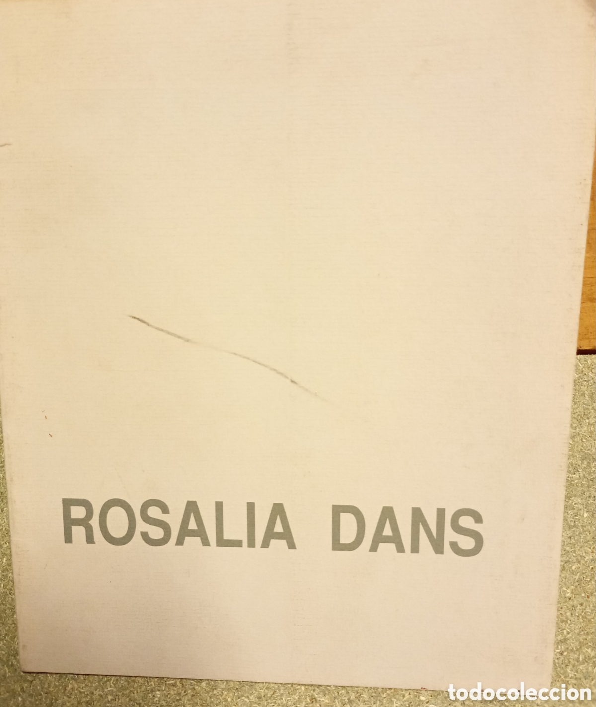 Arte: Pintora Rosal&iacute;a Dans catalogo de la pintora gallega Rosal&iacute;a Dans