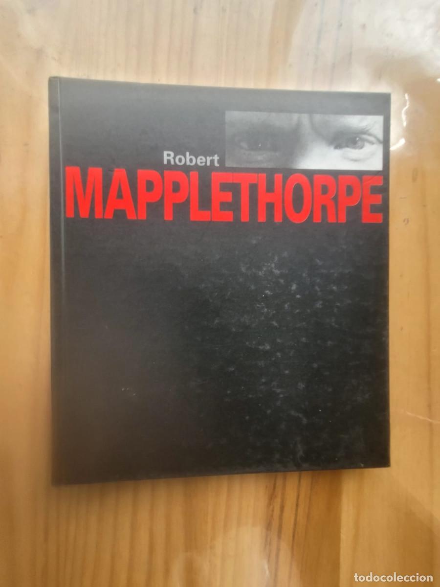 Arte: ROBERT MAPPLETHORPE (SALA PARPALLO 1999) - Foto 1