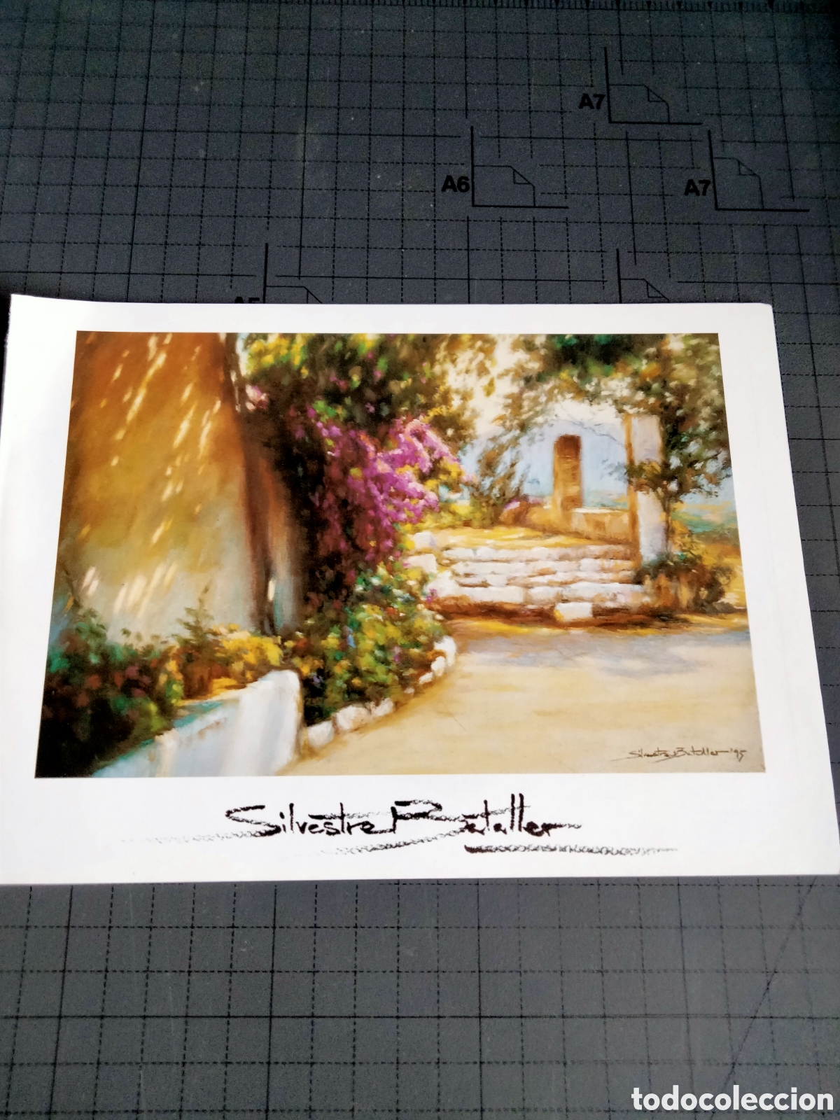 Art: Silvestre Bataller, cat&agrave;leg exposici&oacute;