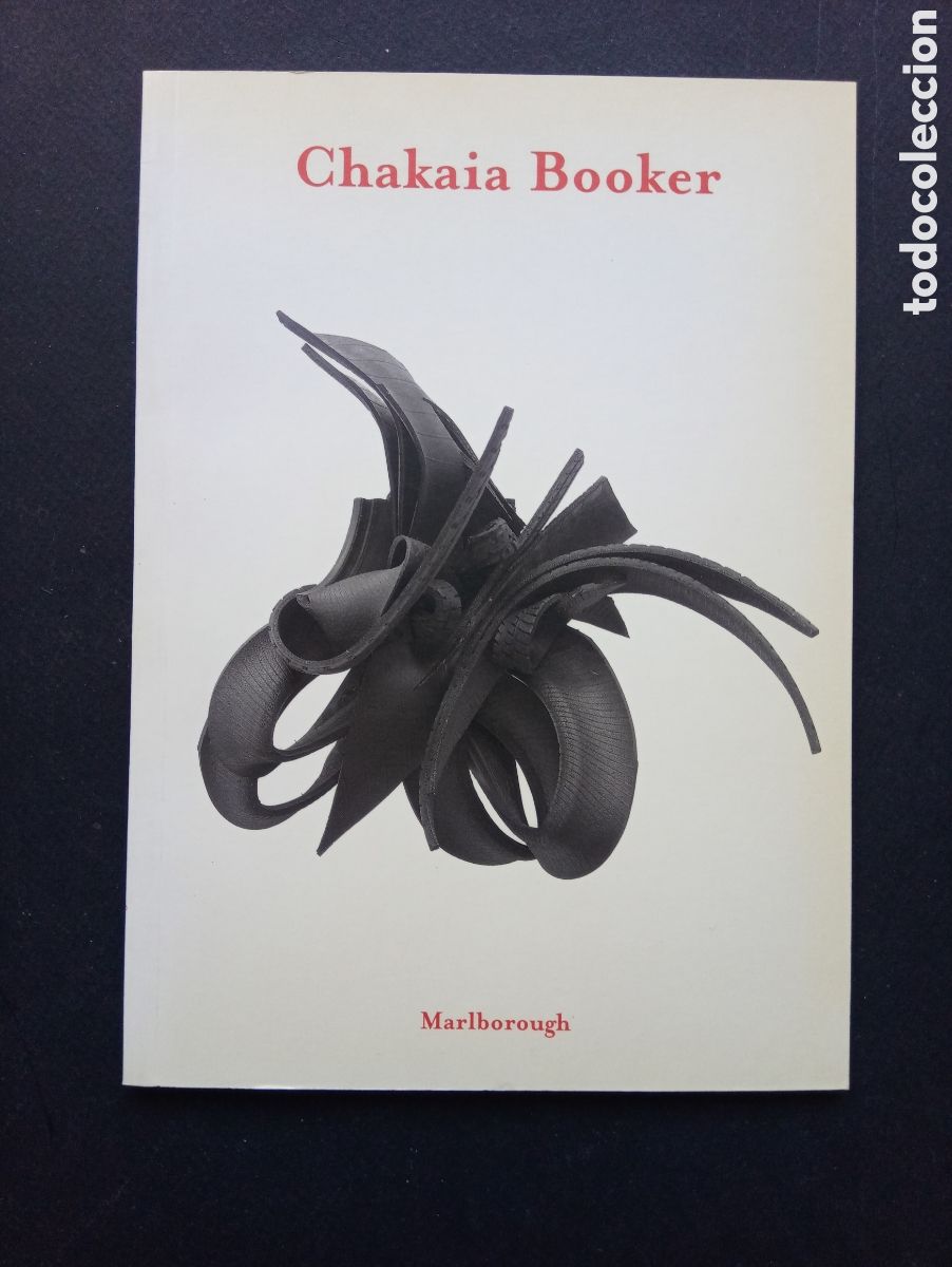 Arte: Cat&aacute;logo Chakaia Booker - Marlborough 2005 - RA15