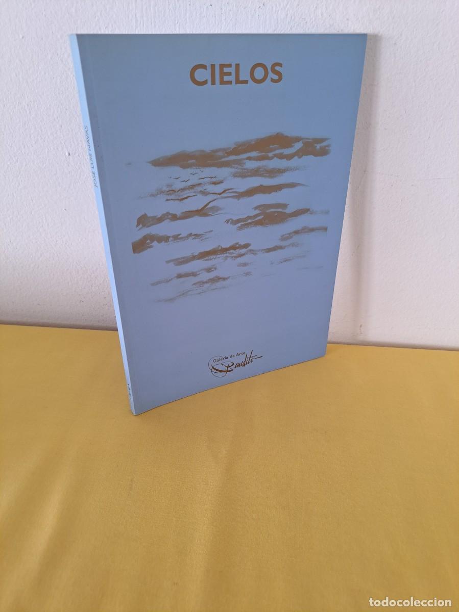 Arte: JOSE LUIS NAVAS CARRASCO - CIELOS - GALER&Iacute;A DE ARTE BENEDITO 2003