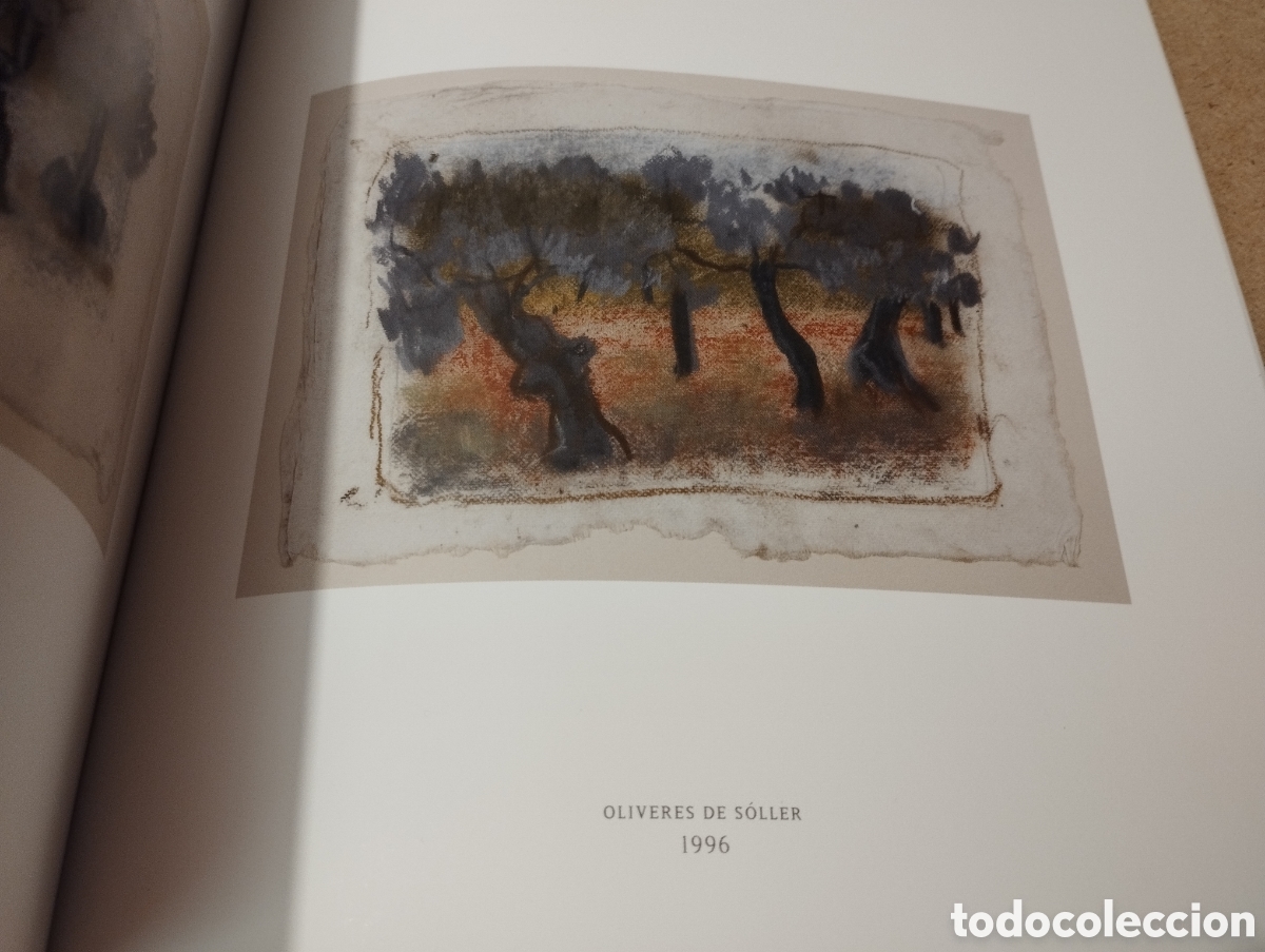 Arte: MARIA DEL MAR BONET. ARRAN DE M&Agrave; - Foto 5
