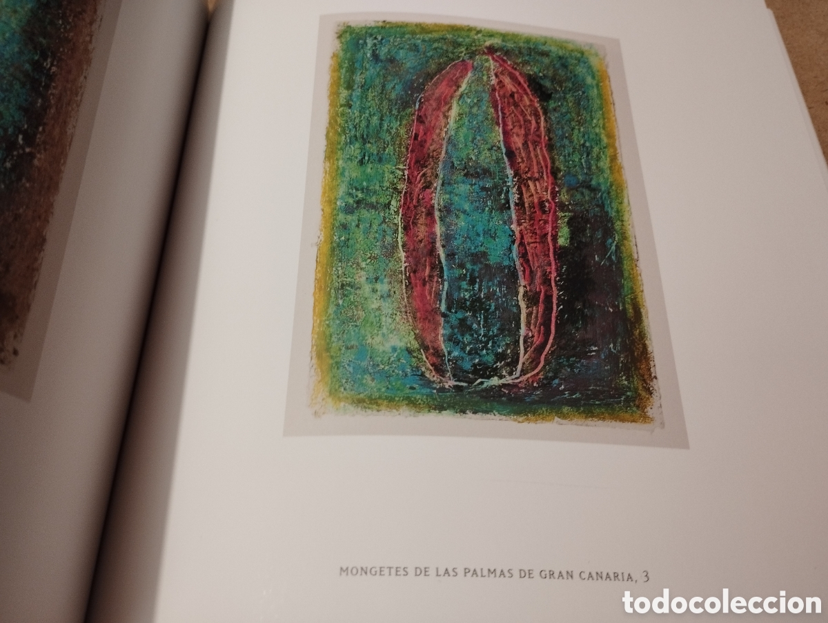 Arte: MARIA DEL MAR BONET. ARRAN DE M&Agrave; - Foto 7