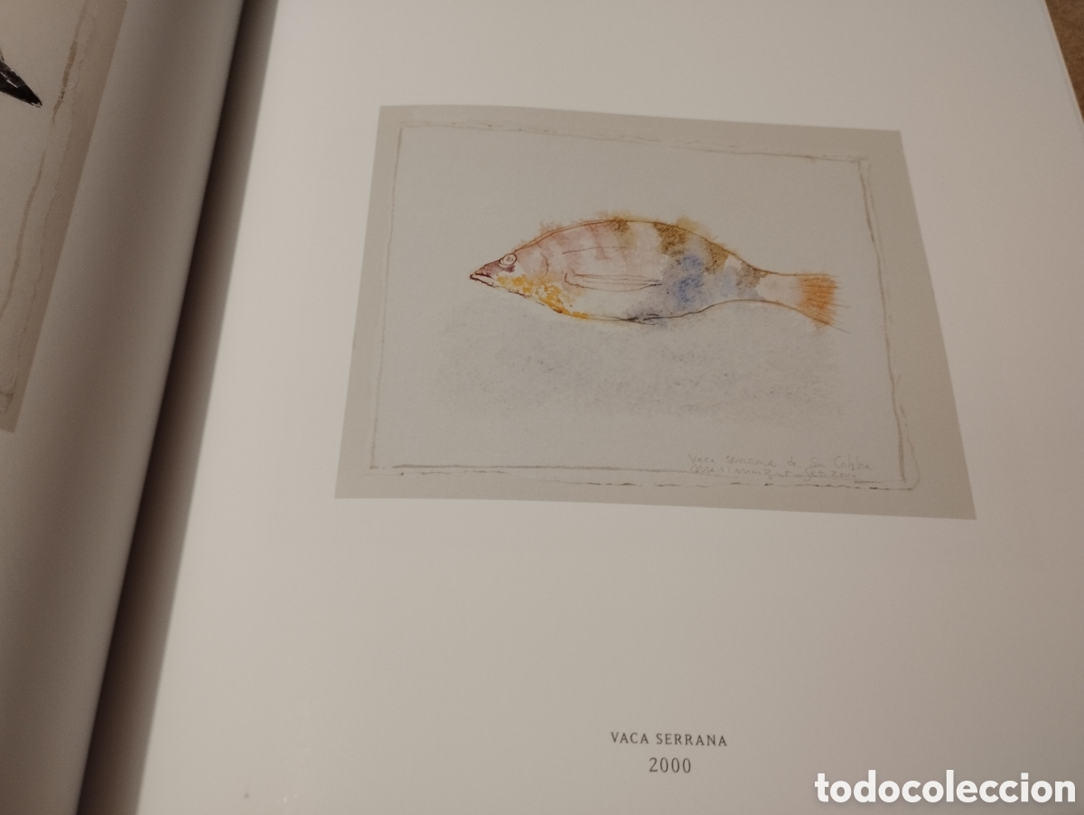 Arte: MARIA DEL MAR BONET. ARRAN DE M&Agrave; - Foto 11