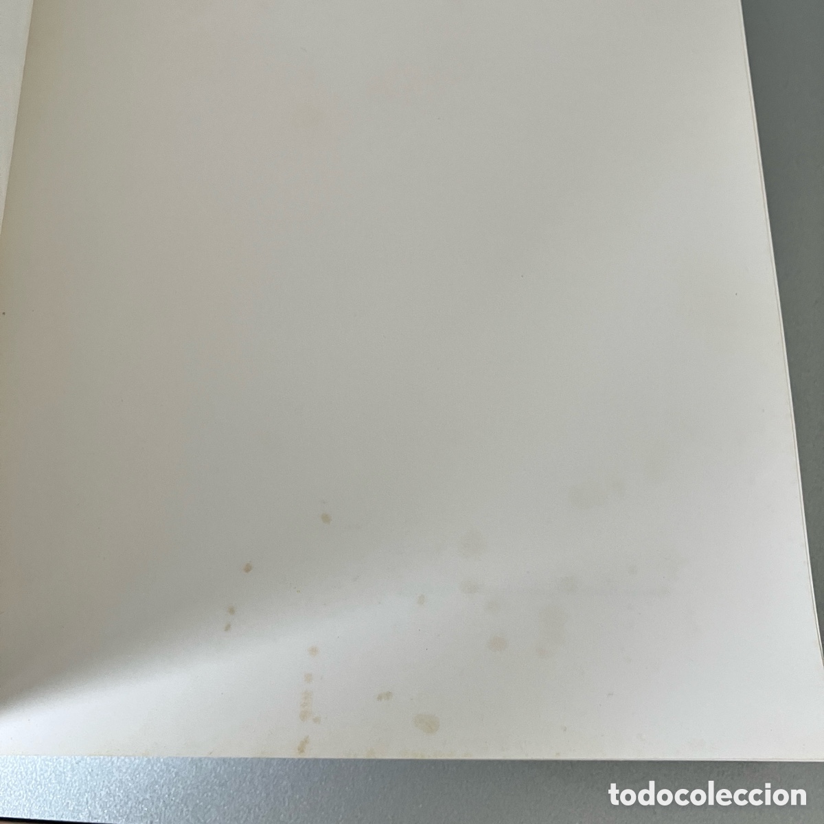 Arte: Vel&aacute;zquez. Exposici&oacute;n Museo Del Prado 1990 - Foto 4