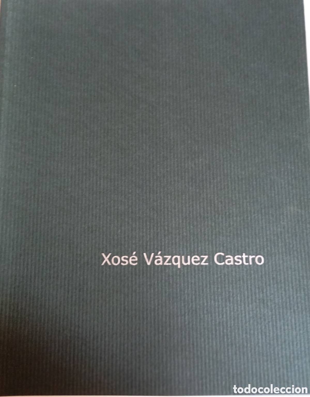 Arte: Pintura gallega Catalogo exposicion go de pintor gallego Xose V&aacute;zquez Castro