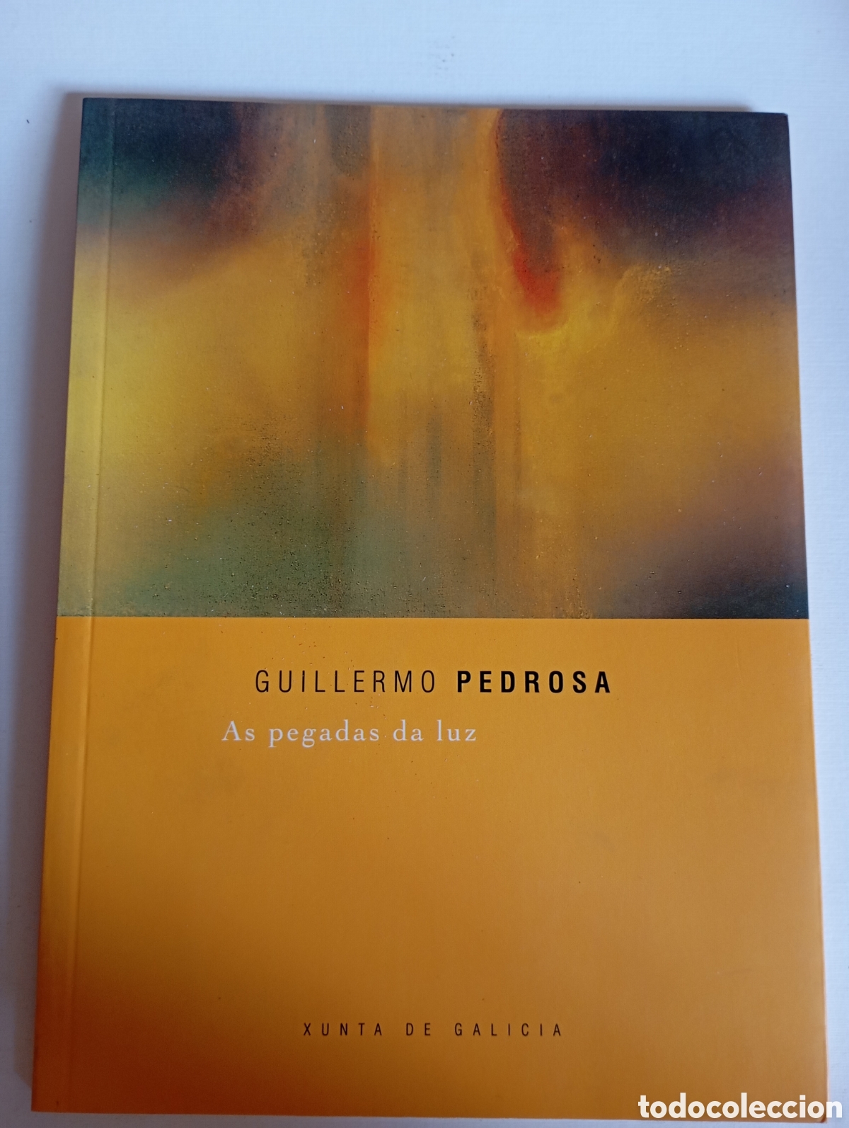 Arte: Pintura gallega catalogo exposici&oacute;n del pintor Guillermo pedrosa