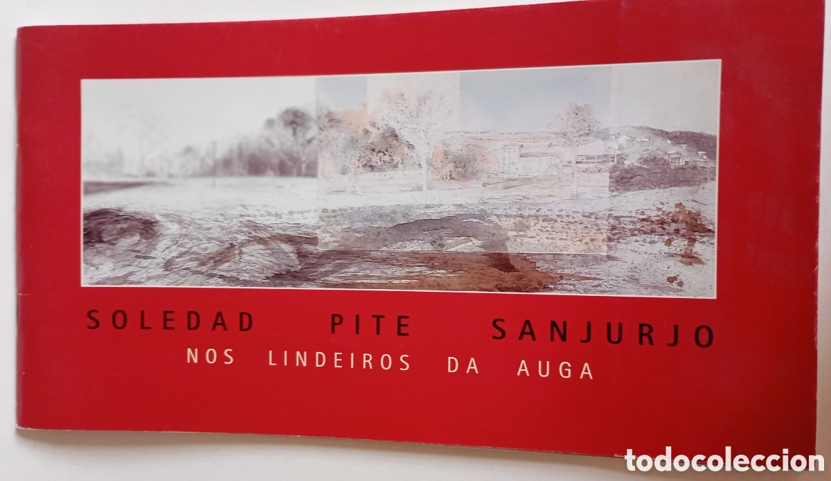 Arte: Catalogo de exposici&oacute;n pintora Soledad Pite Sanjurjo
