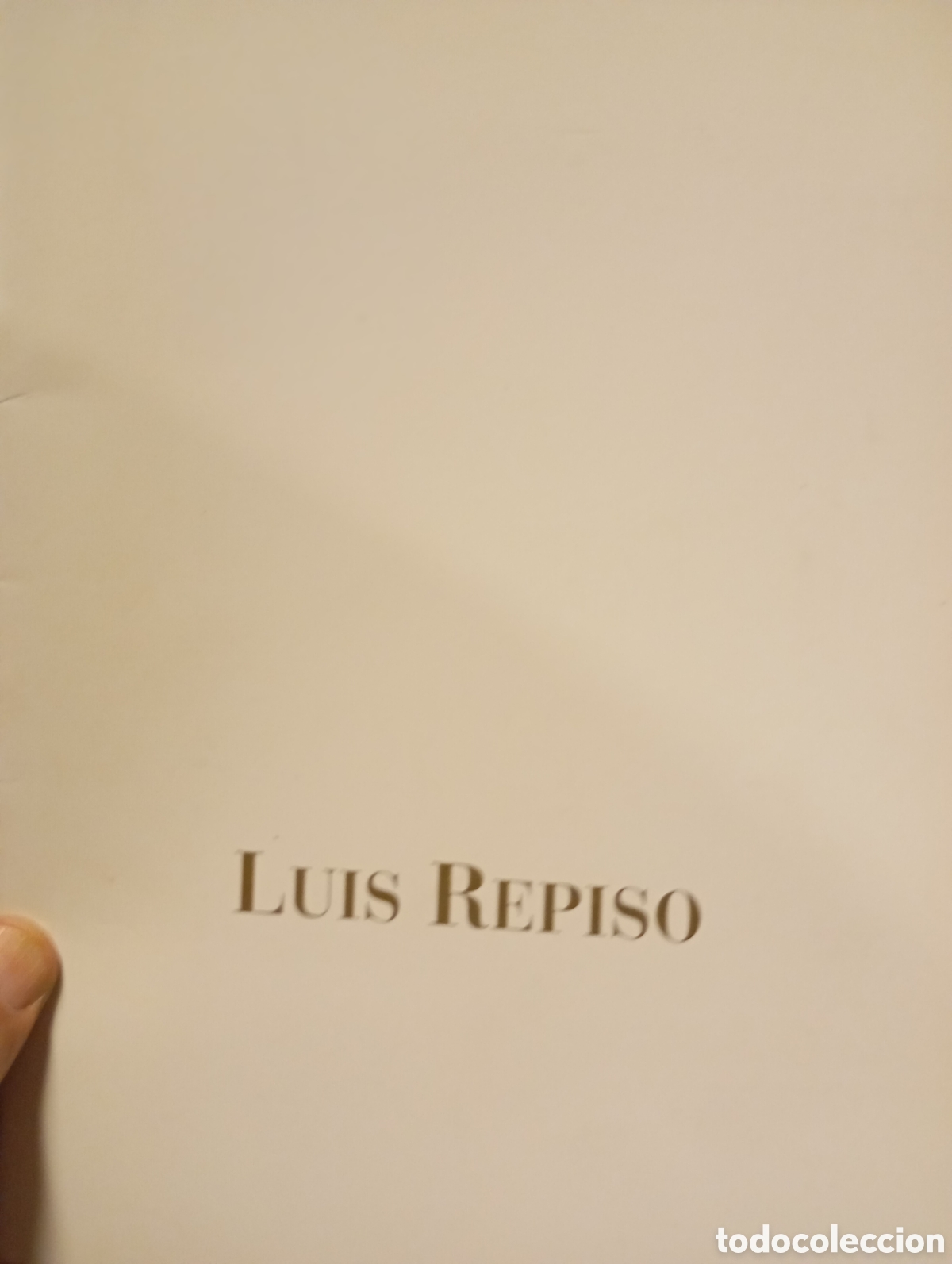 Arte: Catalogo de exposici&oacute;n del pintor Luis Repiso - Foto 1
