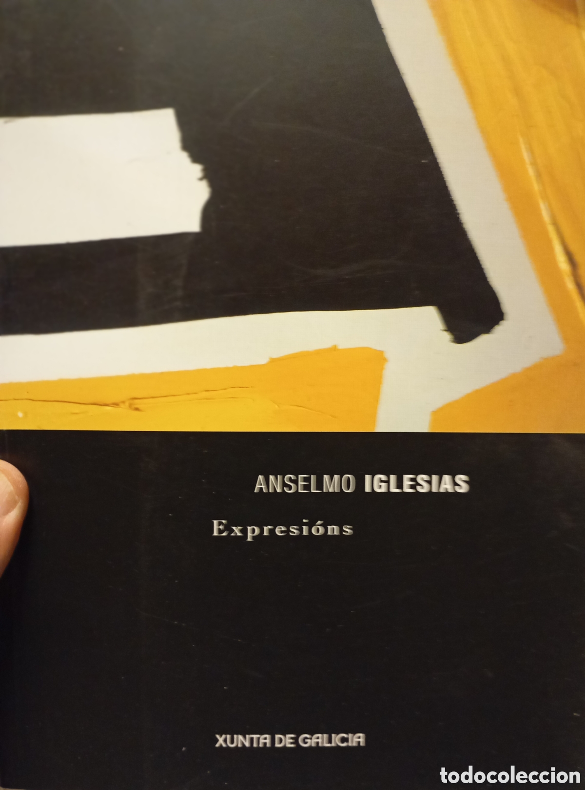 Arte: Anselmo Iglesias cat&aacute;logo de exposici&oacute;n del pintor