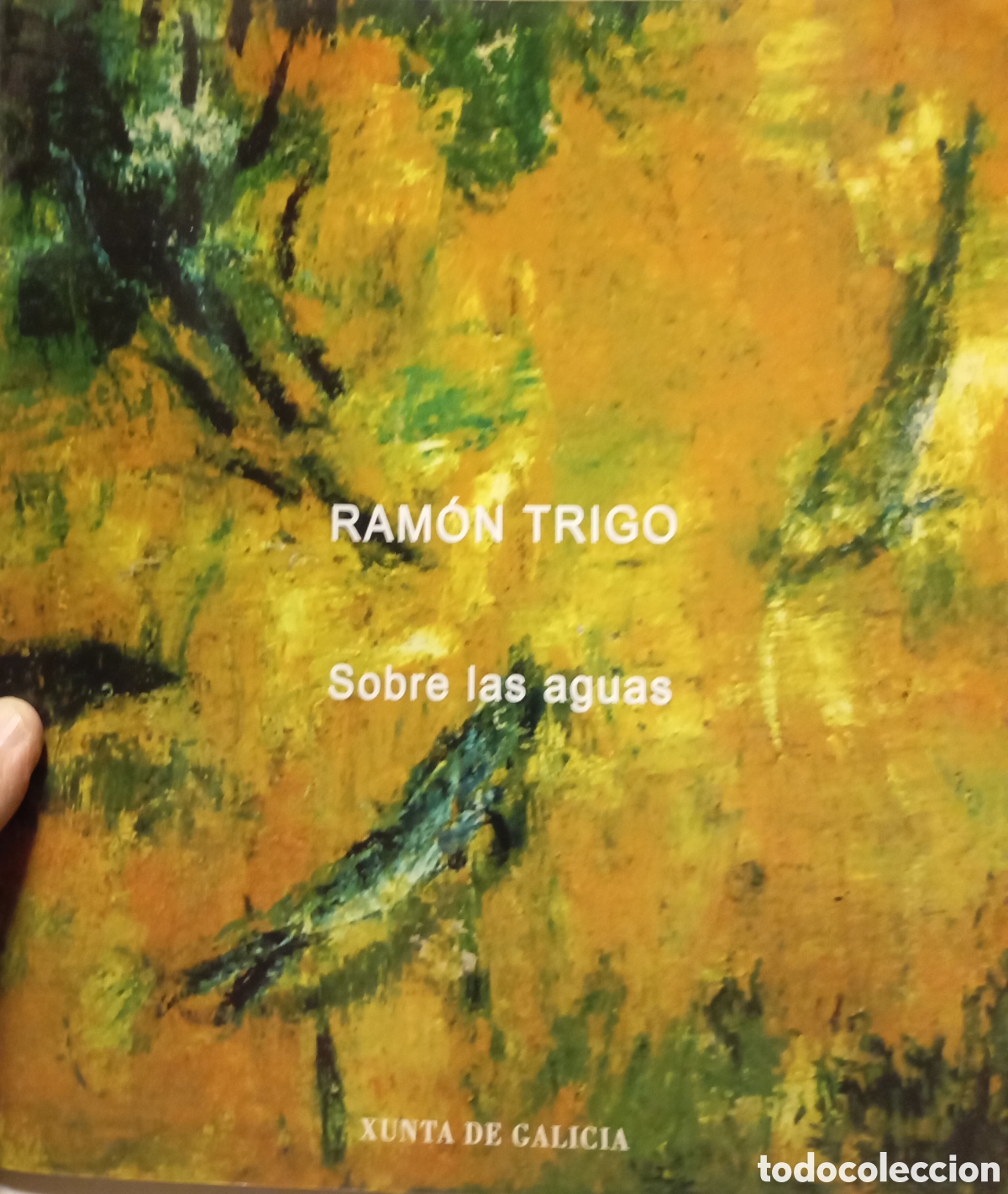 Arte: Ram&oacute;n Trigo catalogo de exposici&oacute;n del pintor