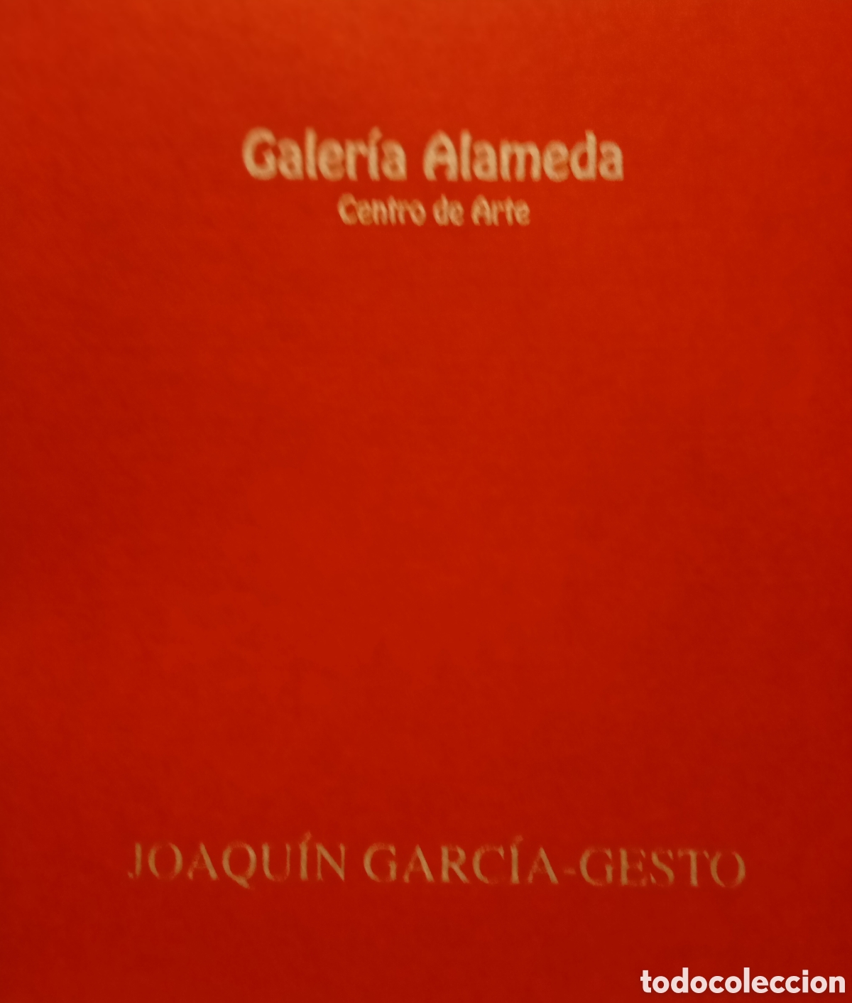 Arte: Joaqu&iacute;n Garc&iacute;a Gesto catalogo de exposici&oacute;n del pintor