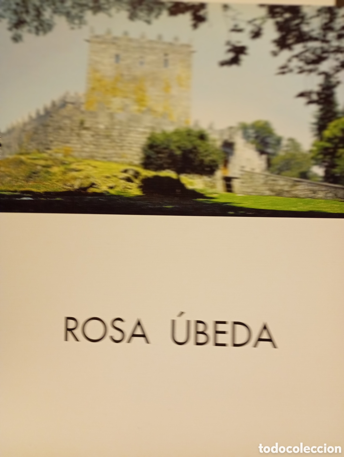 Arte: Catalogo de exposici&oacute;n del pintor Rosa &Uacute;beda - Foto 1