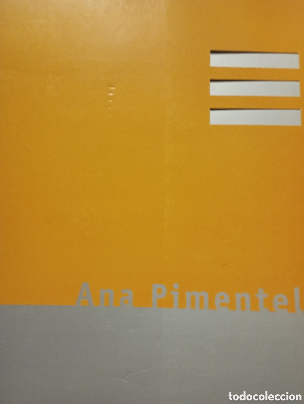 Arte: Catalogo de exposici&oacute;n del pintor Ana Pimentel