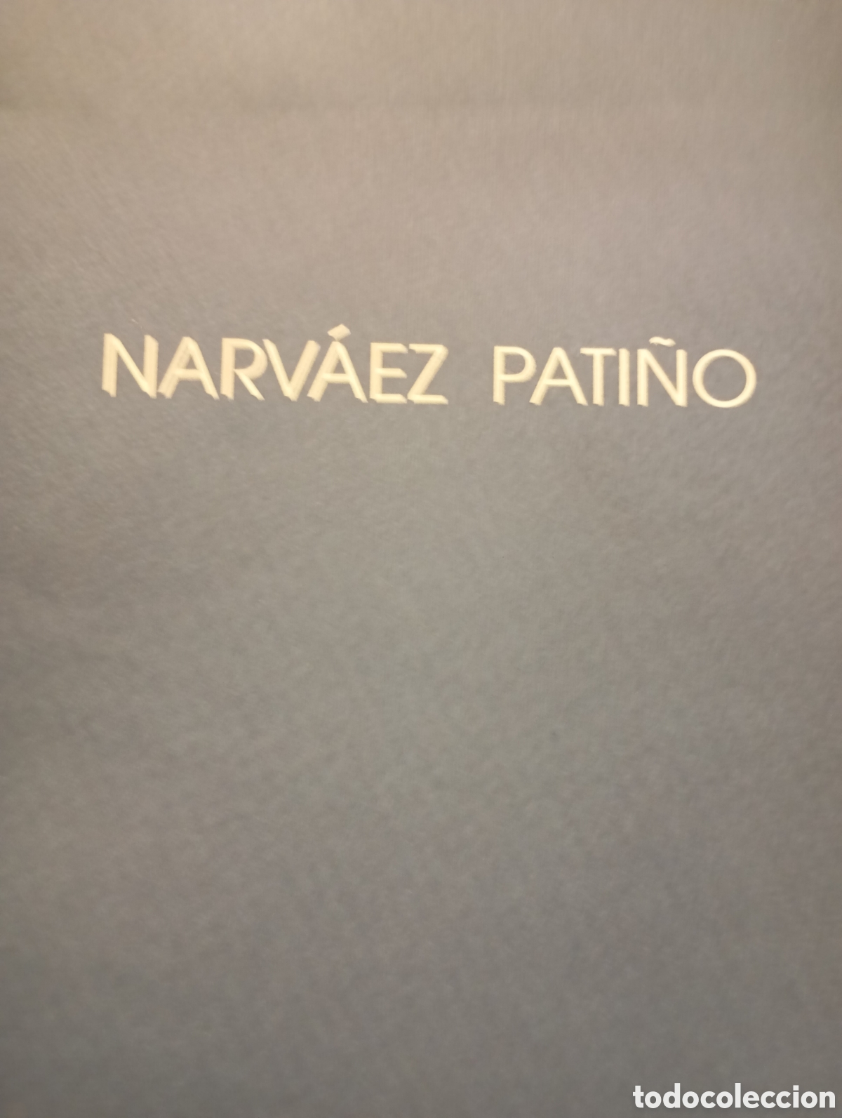 Arte: Narv&aacute;ez Pati&ntilde;o cat&aacute;logo de exposici&oacute;n del pintor