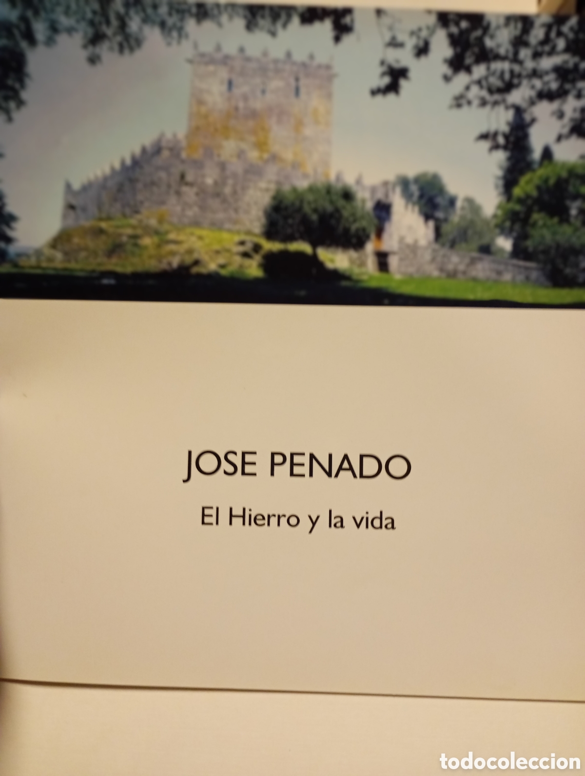 Arte: Catalogo de exposici&oacute;n del pintor Jos&eacute; Penado