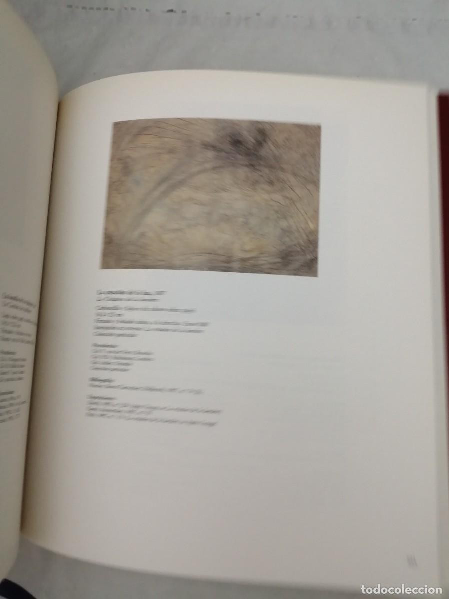 Arte: James Ensor (Cat&aacute;logo exposici&oacute;n, Madrid 1996) - Foto 4