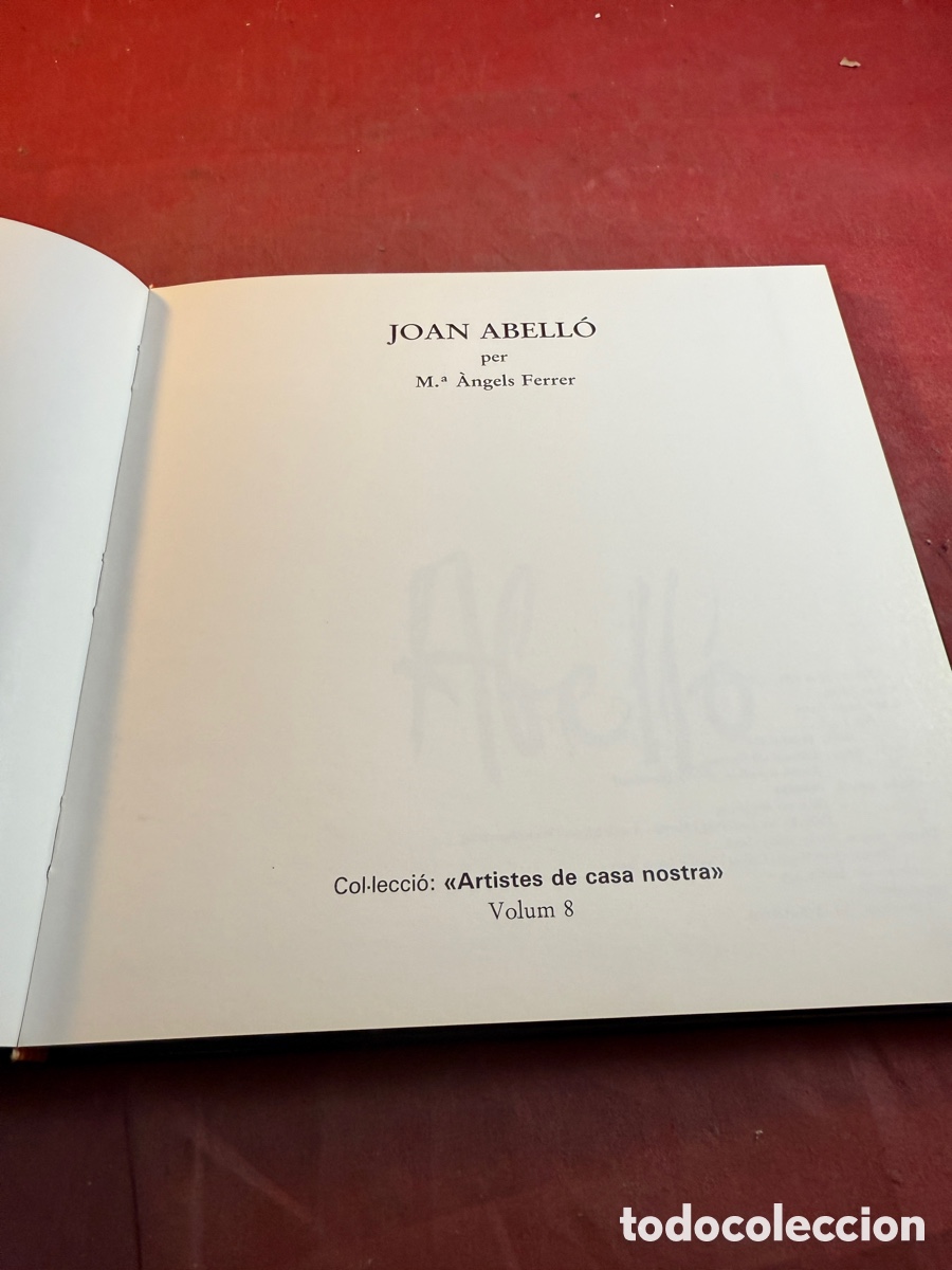 Arte: JOAN ABELL&Oacute; per M&ordf; &Agrave;ngels Ferrer - Foto 2