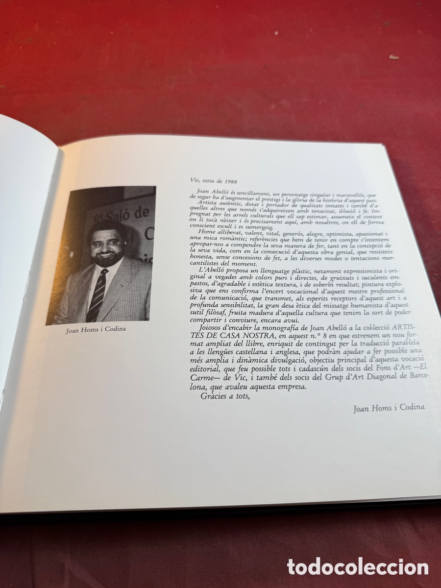 Arte: JOAN ABELL&Oacute; per M&ordf; &Agrave;ngels Ferrer - Foto 3