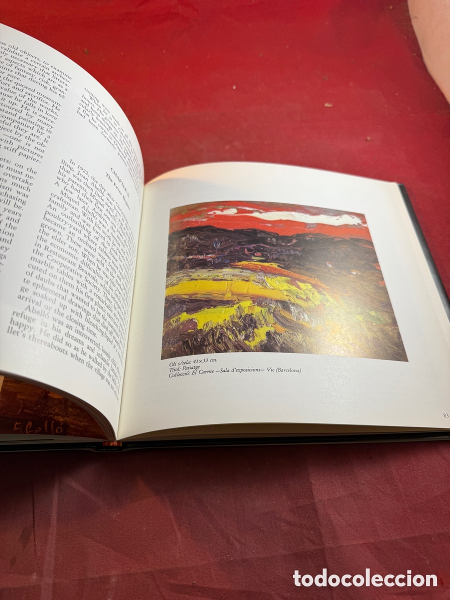 Arte: JOAN ABELL&Oacute; per M&ordf; &Agrave;ngels Ferrer - Foto 6