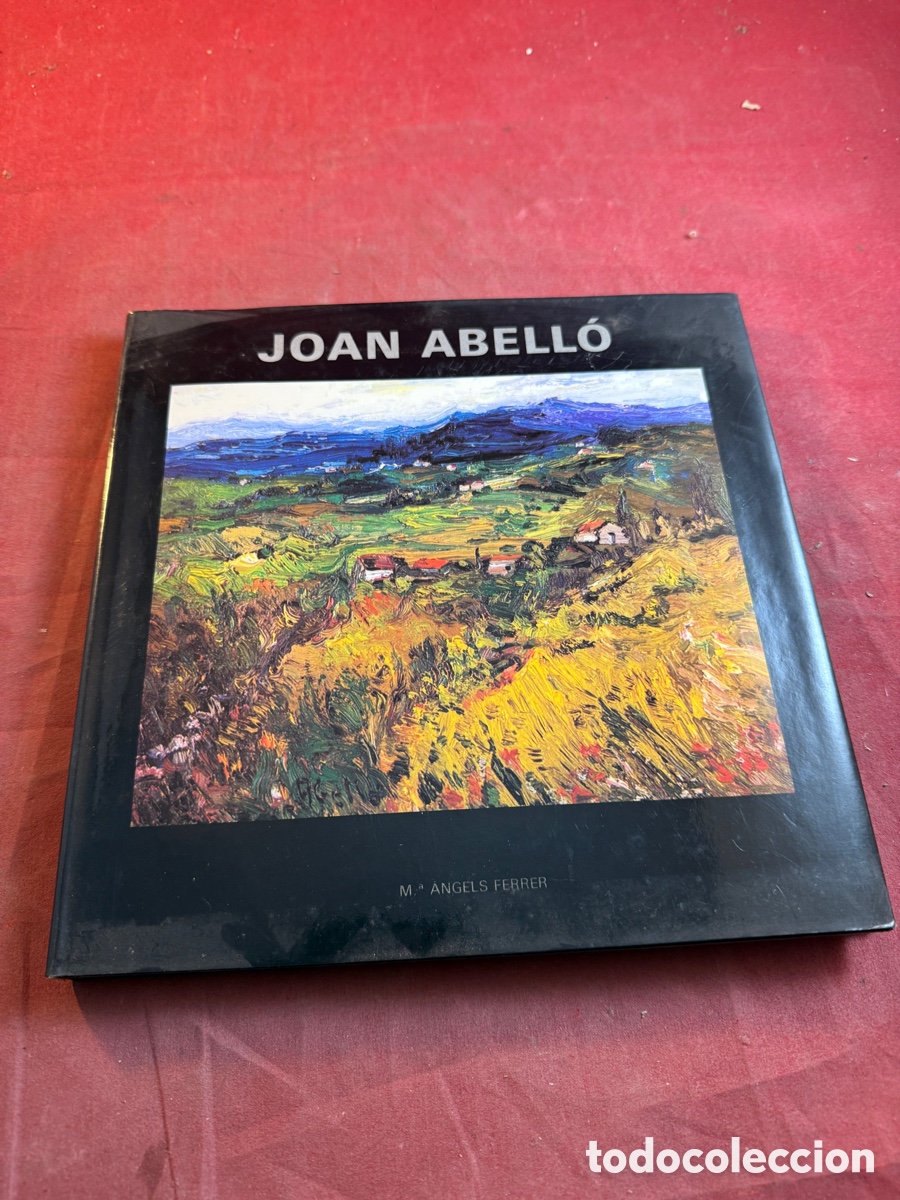 Arte: JOAN ABELL&Oacute; per M&ordf; &Agrave;ngels Ferrer - Foto 1
