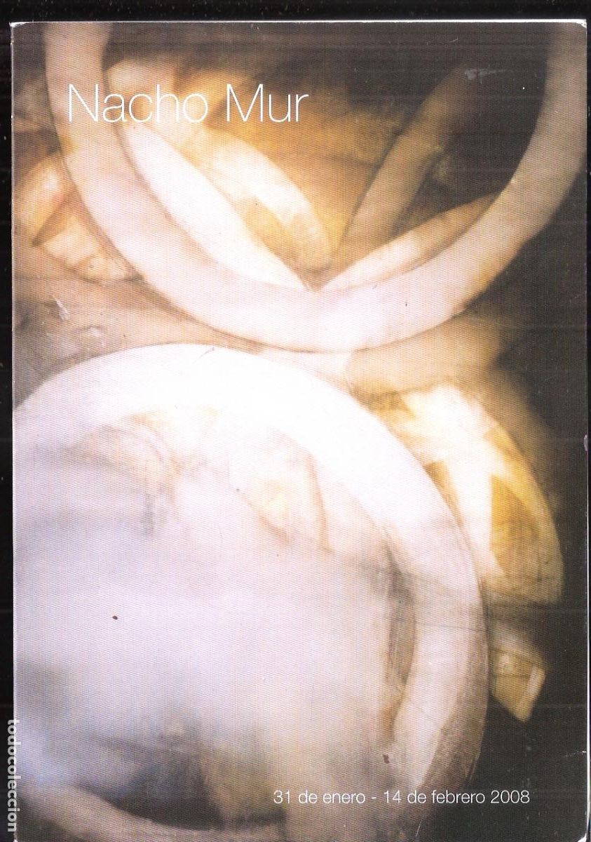 Kunst: Nacho Mur. Enero 2008. Sala Barbasan. CAI. Zaragoza. Triptico. 21x15 cm.