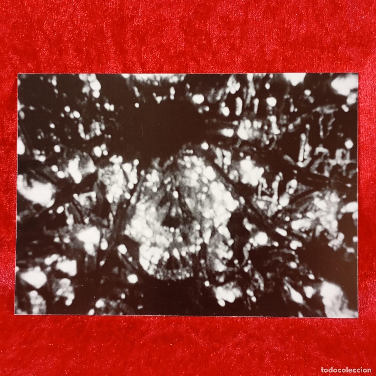 Arte: FOLLETO ARTE - IN THE MEANTIME - CEAL FLOYER - GALERIA ESTRANY&middot;DE LA MOTA - 1998 / 3143-9