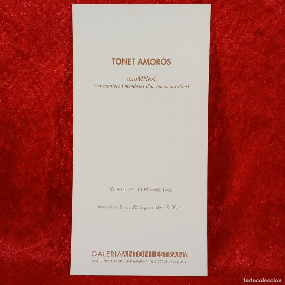 Arte: FOLLETO ARTE - TONET AMOR&Oacute;S - ANAMNESI - GALERIA ANTONI ESTRANY - 1995 / 3152-13