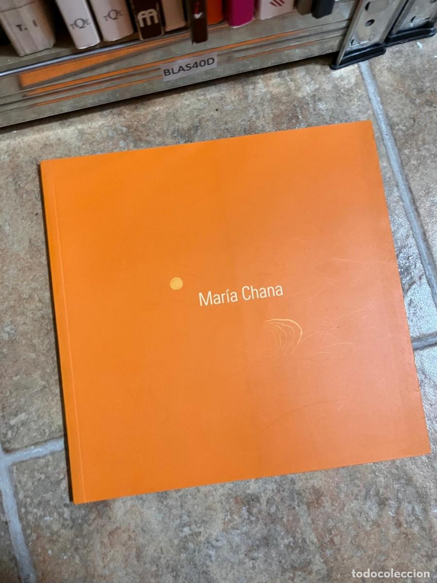 Arte: BLAS40D MARIA CHANA, CATALOGO DE ARTE, PINTURAS