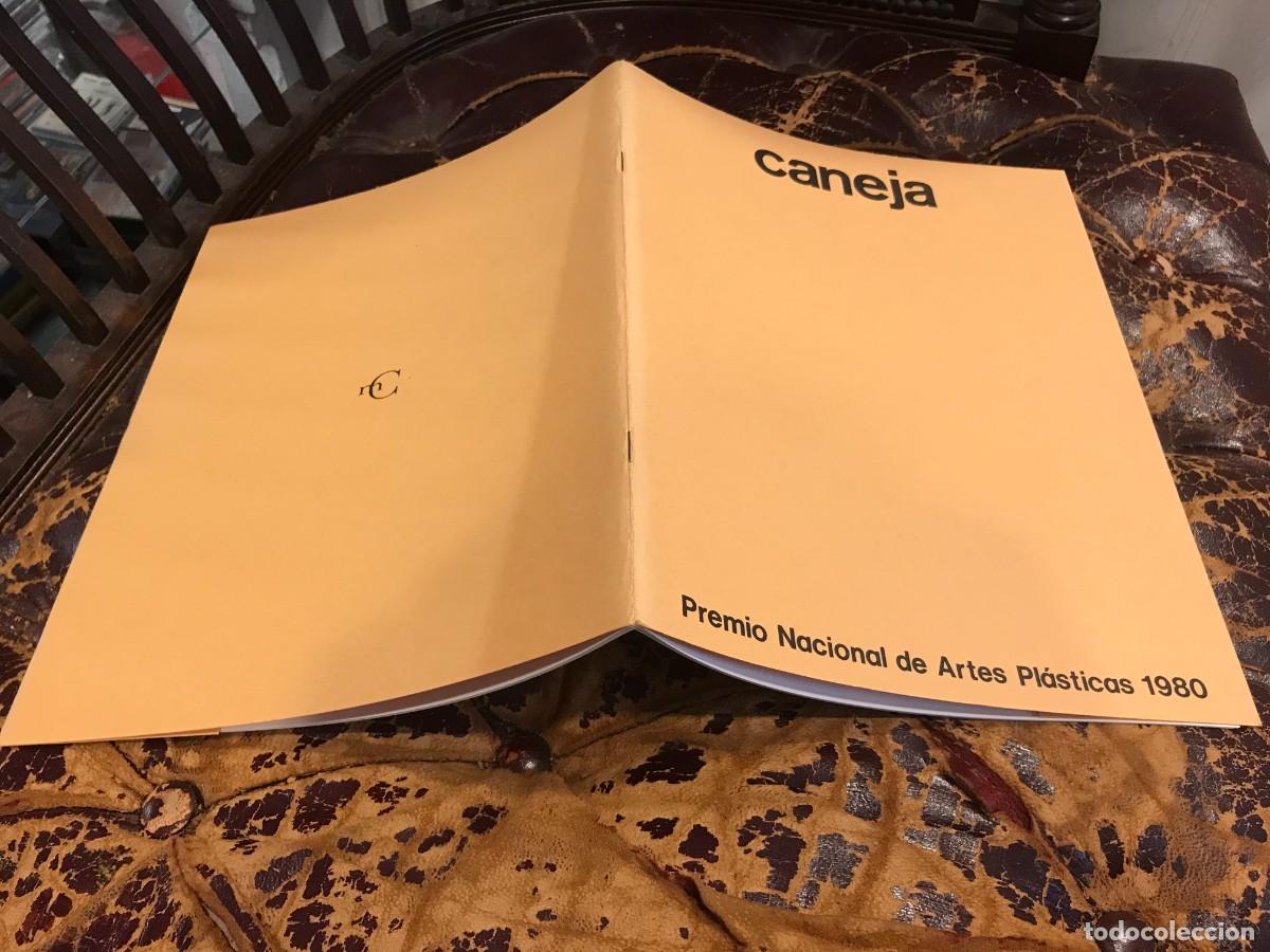 Art: CAT&Aacute;LOGO DE PINTURA. CANEJA. PREMIO NACIONAL DE ARTES PL&Aacute;STICAS 1980. MADRID, 1981