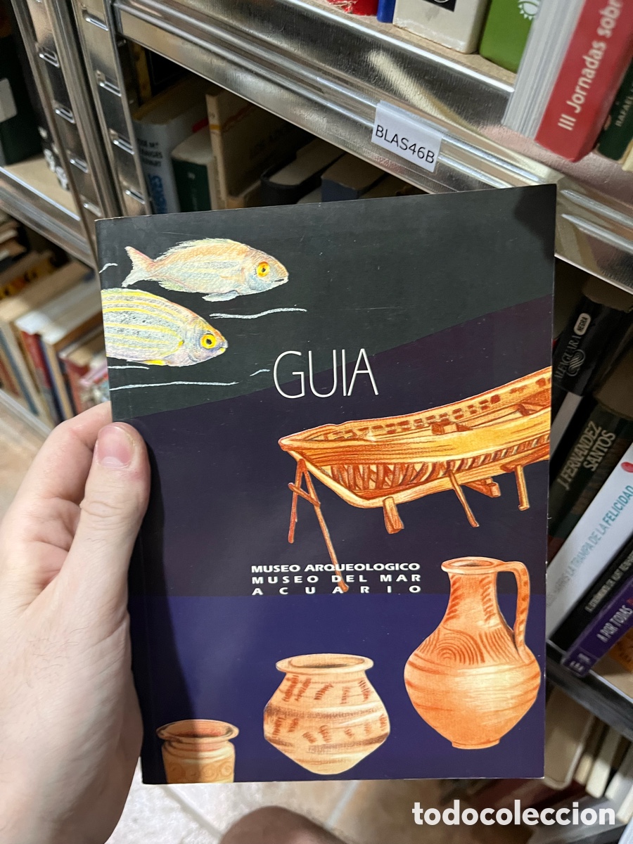 Arte: Blas46B gu&iacute;a MUSEO ARQUEOLOGICO MUSEO DEL MAR acuario