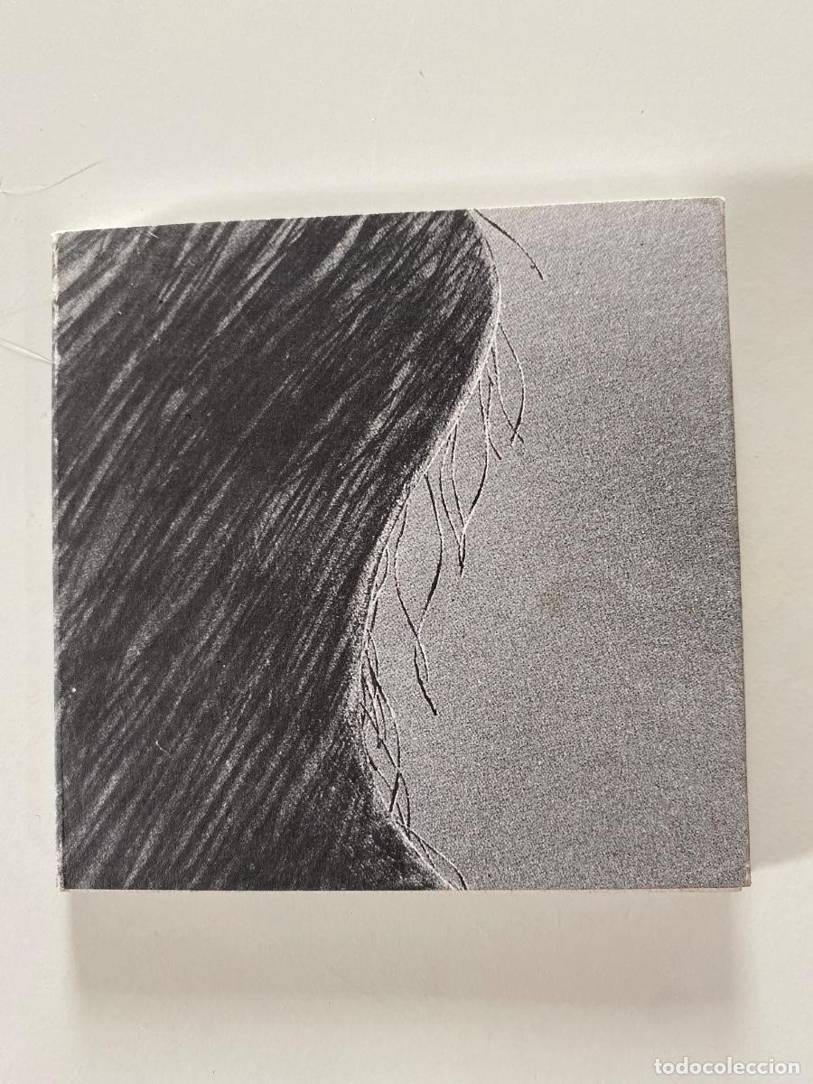 Arte: Ignacio Basallo. Galeria Trinta. Arco 94 - Foto 1