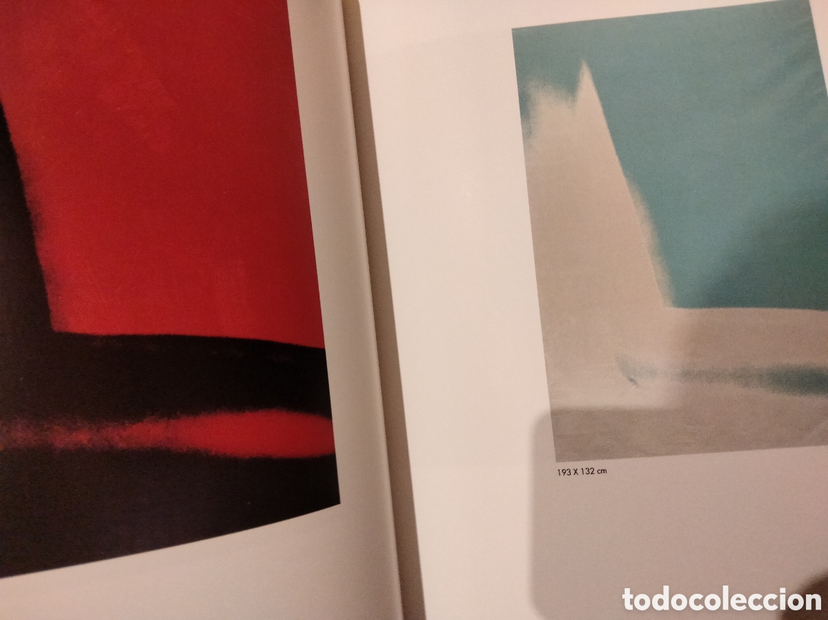 Arte: ANDY WARHOL, abstracto. Thomas Kellein - Foto 4