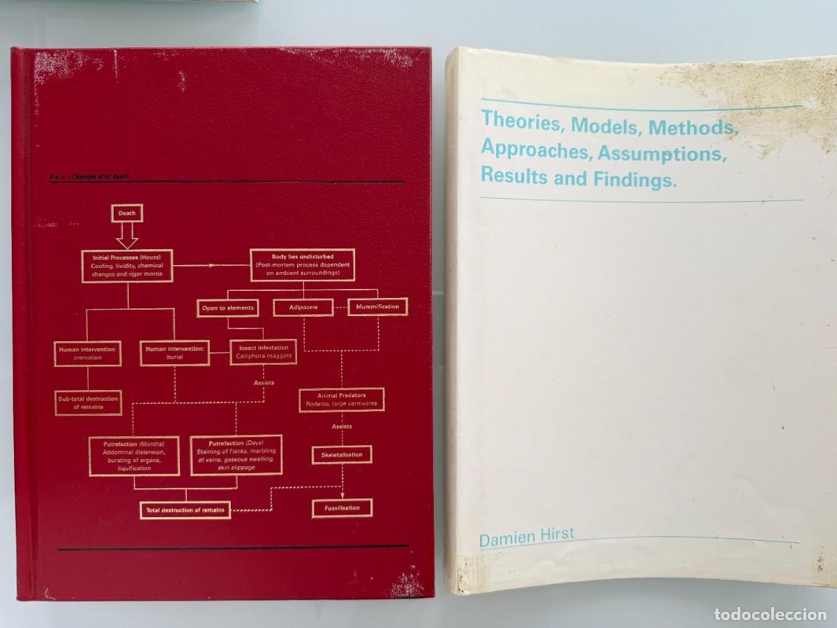 Arte: DAMIEN HIRST , lote de 2 libros - Foto 9