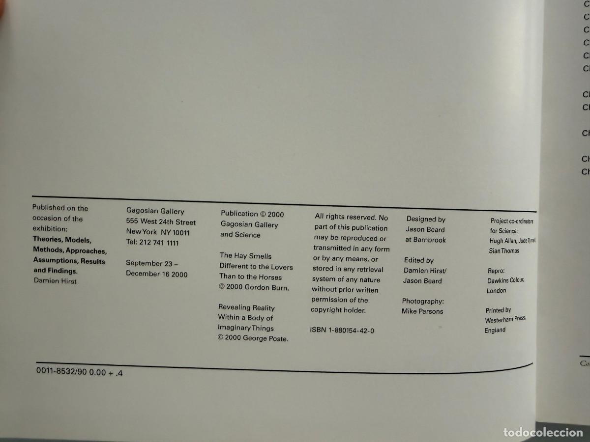 Arte: DAMIEN HIRST , lote de 2 libros - Foto 11