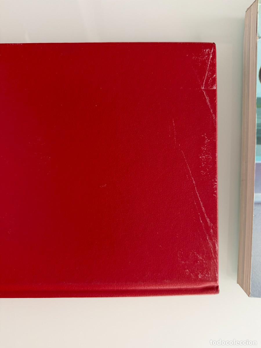 Arte: DAMIEN HIRST , lote de 2 libros - Foto 13