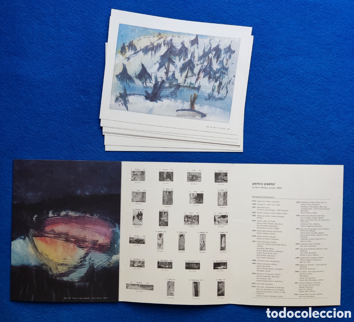 Arte: PERICO PASTOR OBRA CAT&Aacute;LOGO - Foto 1