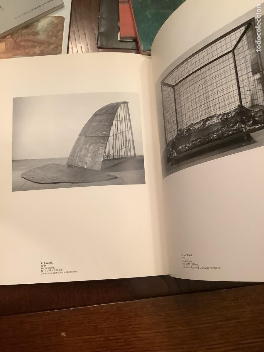 Arte: Susana Solano.Libro de Arte - Foto 4