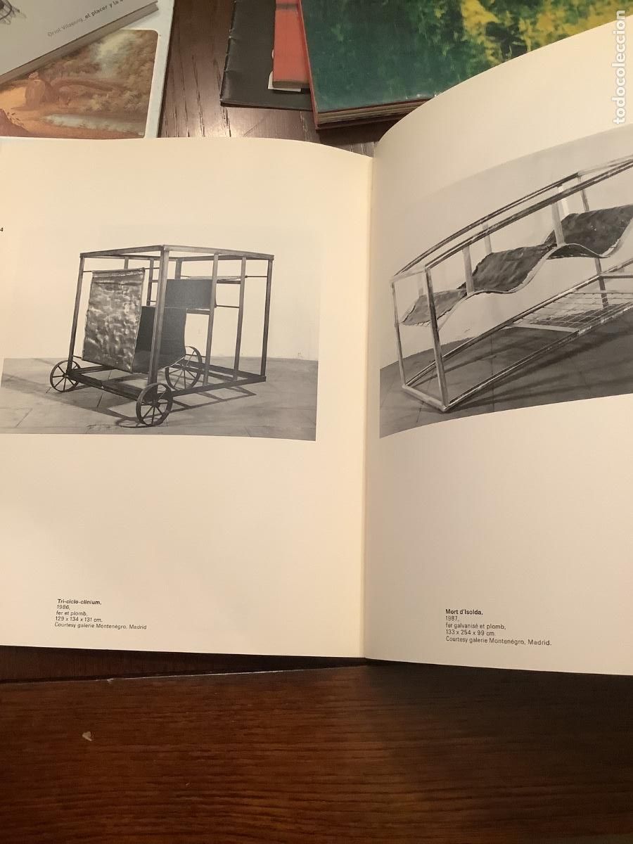 Arte: Susana Solano.Libro de Arte - Foto 6