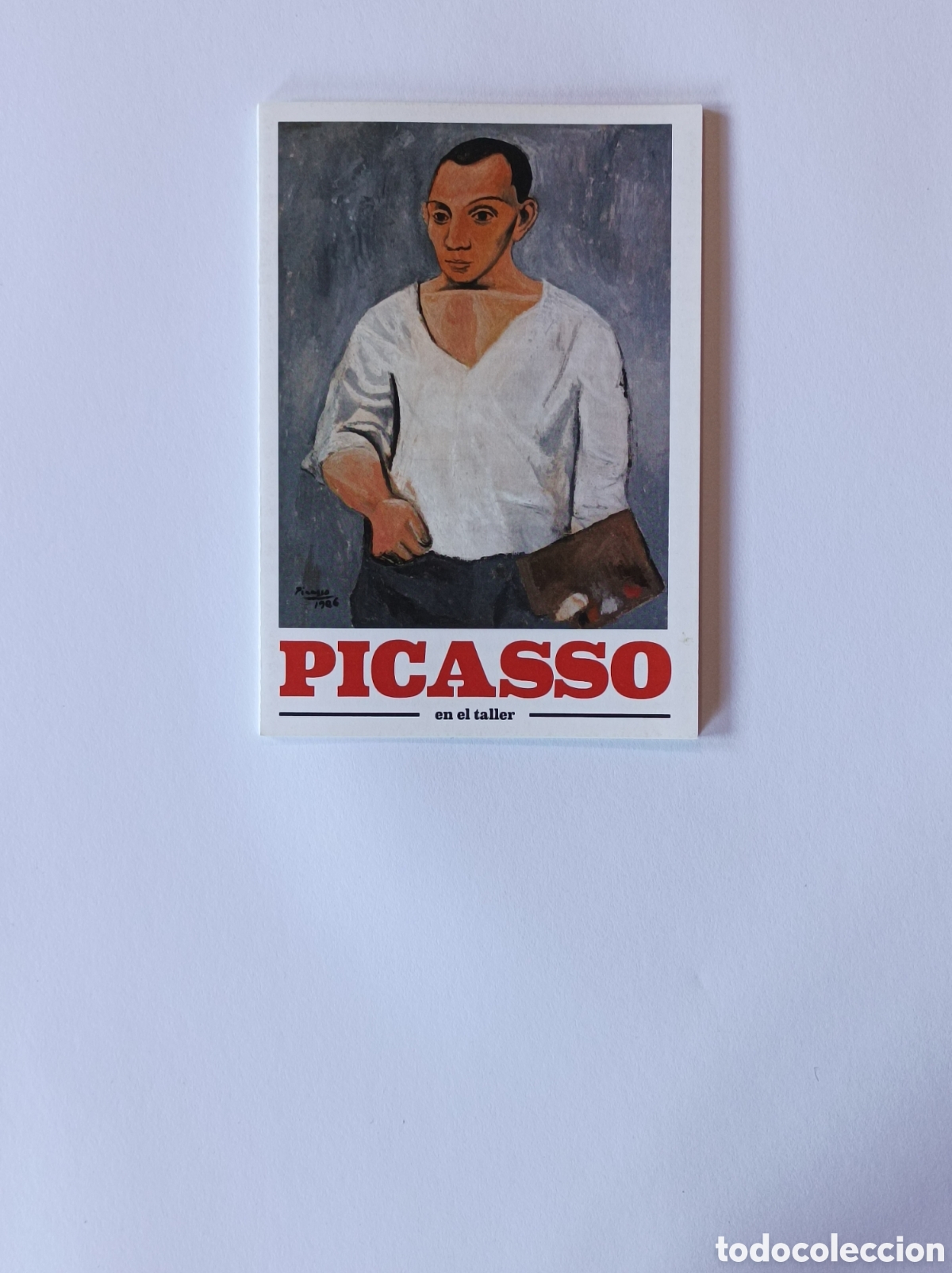Arte: PICASSO EN EL TALLER. PROGRAMA EXPLICATIVO EXPOSICI&Oacute;N FUNDACI&Oacute;N MAPFRE. 2014. - Foto 1
