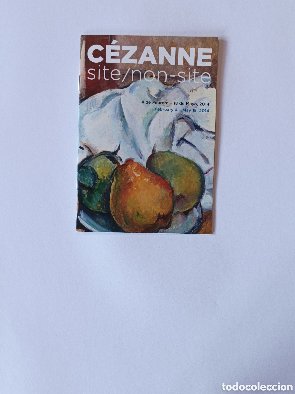 Arte: CEZANNE. SITE/NON SITE. PROGRAMA EXPLICATIVO EXPOSICI&Oacute;N MUSEO THYSSEN. - Foto 1
