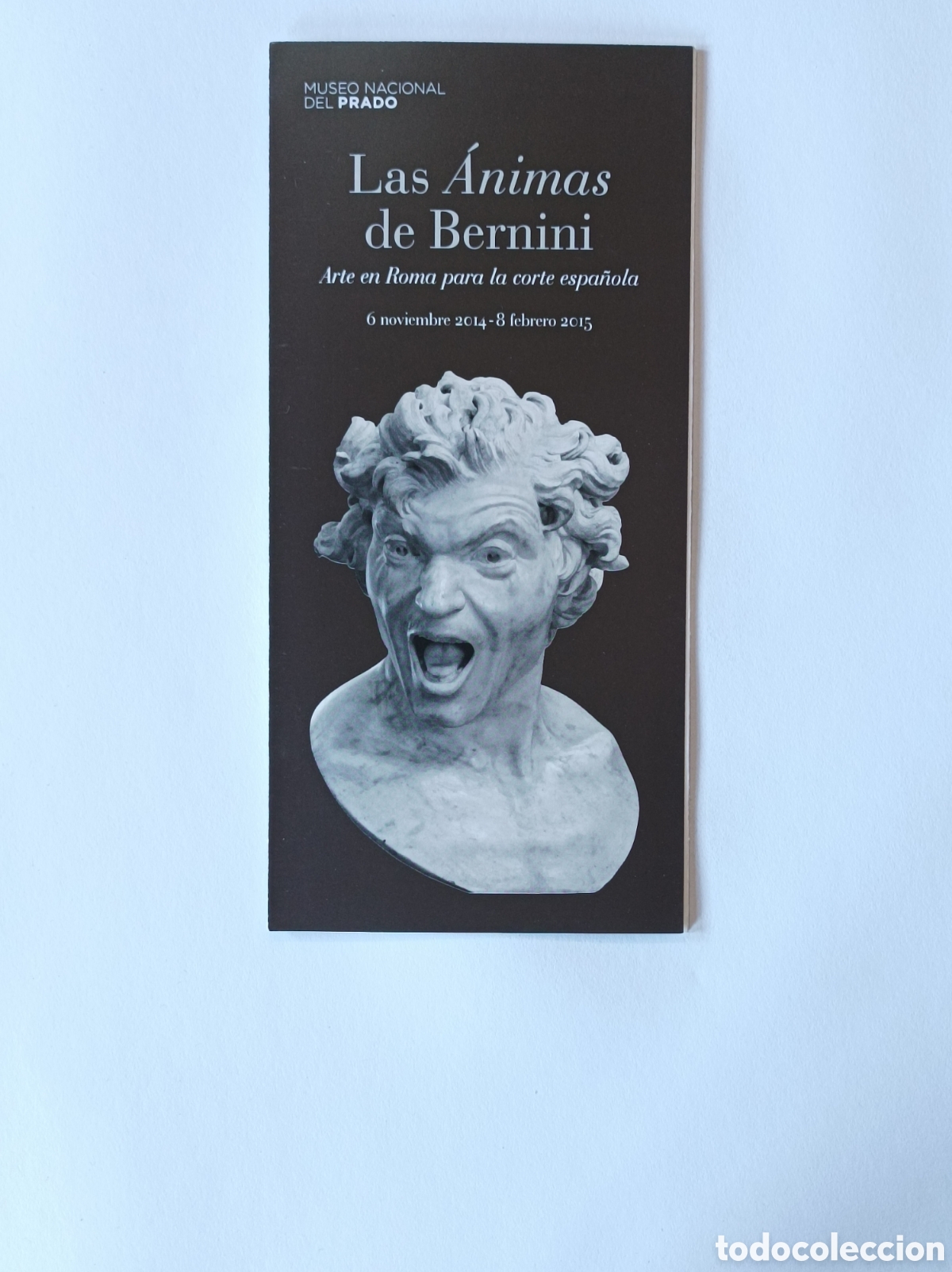 Arte: LAS ANIMAS DE BERNINI. PROGRAMA EXPLICATIVO EXPOSICI&Oacute;N MUSEO DEL PRADO. 2014. - Foto 1