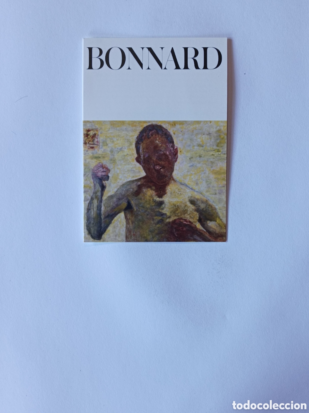 Arte: BONNARD. PROGRAMA EXPLICATIVO EXPOSICI&Oacute;N FUNDACI&Oacute;N MAPFRE. 2013. - Foto 1
