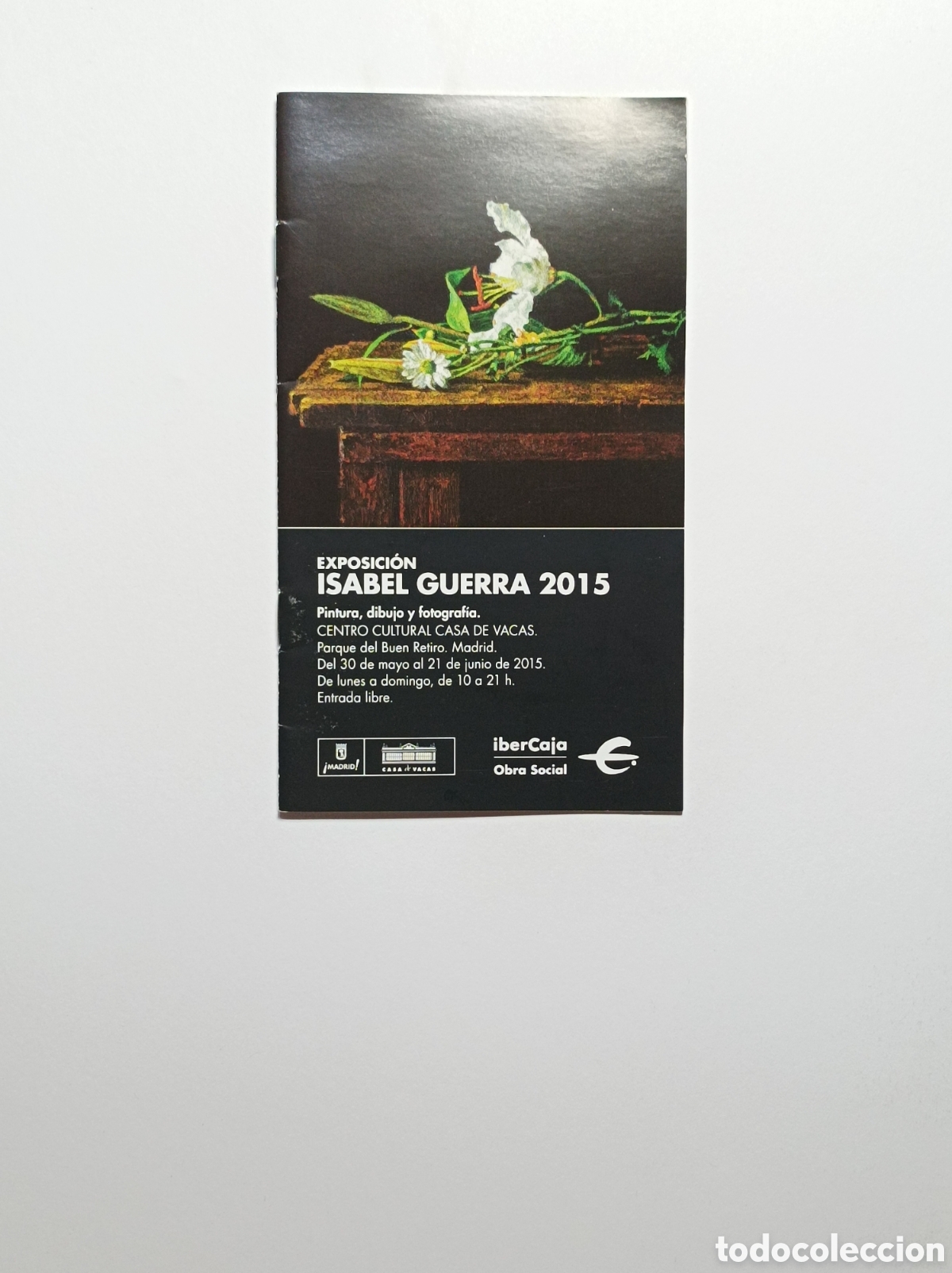 Arte: ISABEL GUERRA. PROGRAMA EXPLICATIVO EXPOSICI&Oacute;N IBERCAJA. 2015. - Foto 1